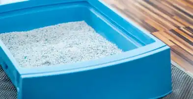 crystal cat litter is dried out and sterilized